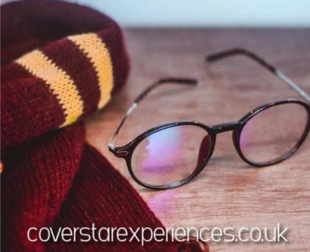 A picture of Harry Potters Glasses and Scarf